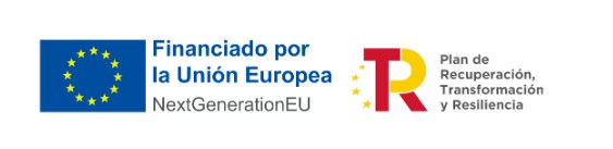 subvenci&oacute;n kit digital